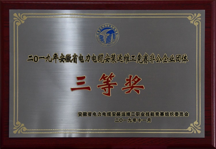 电力电缆安装运维工竞赛三等奖