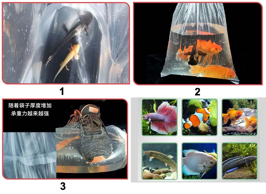 Flat plastic live fish bags