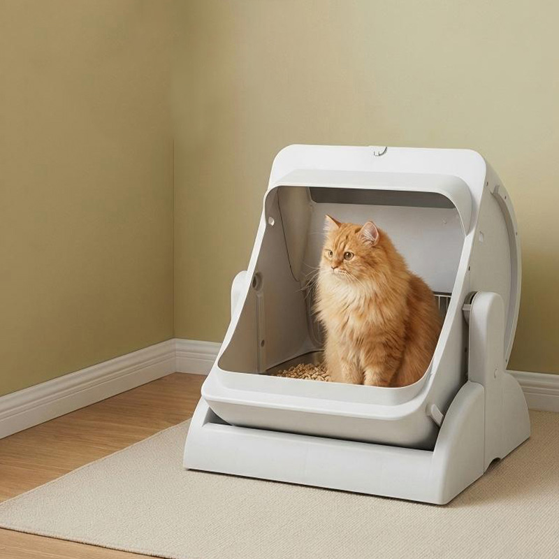 White Cat Litter Box