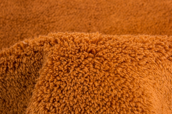 coral fleece