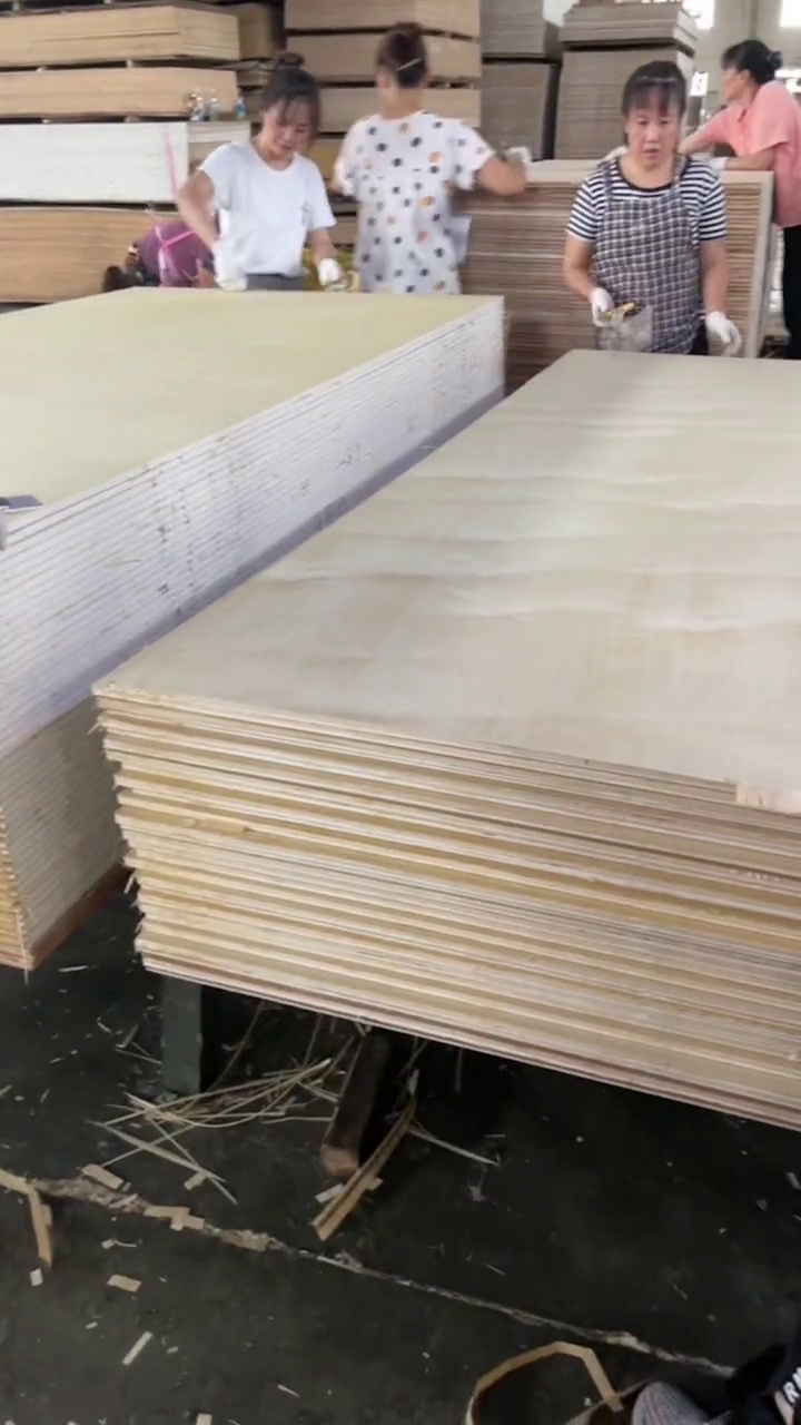 Birch waterproof plywood