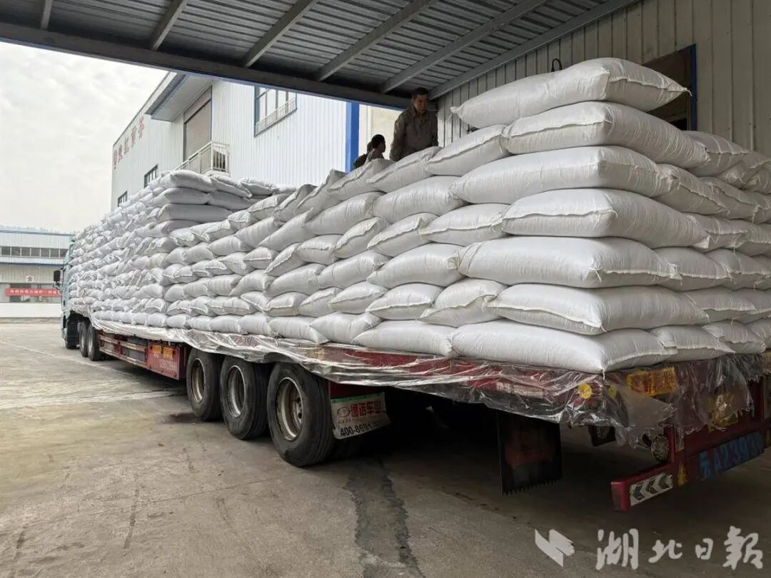 微信图片_2026-01-12_170701_865