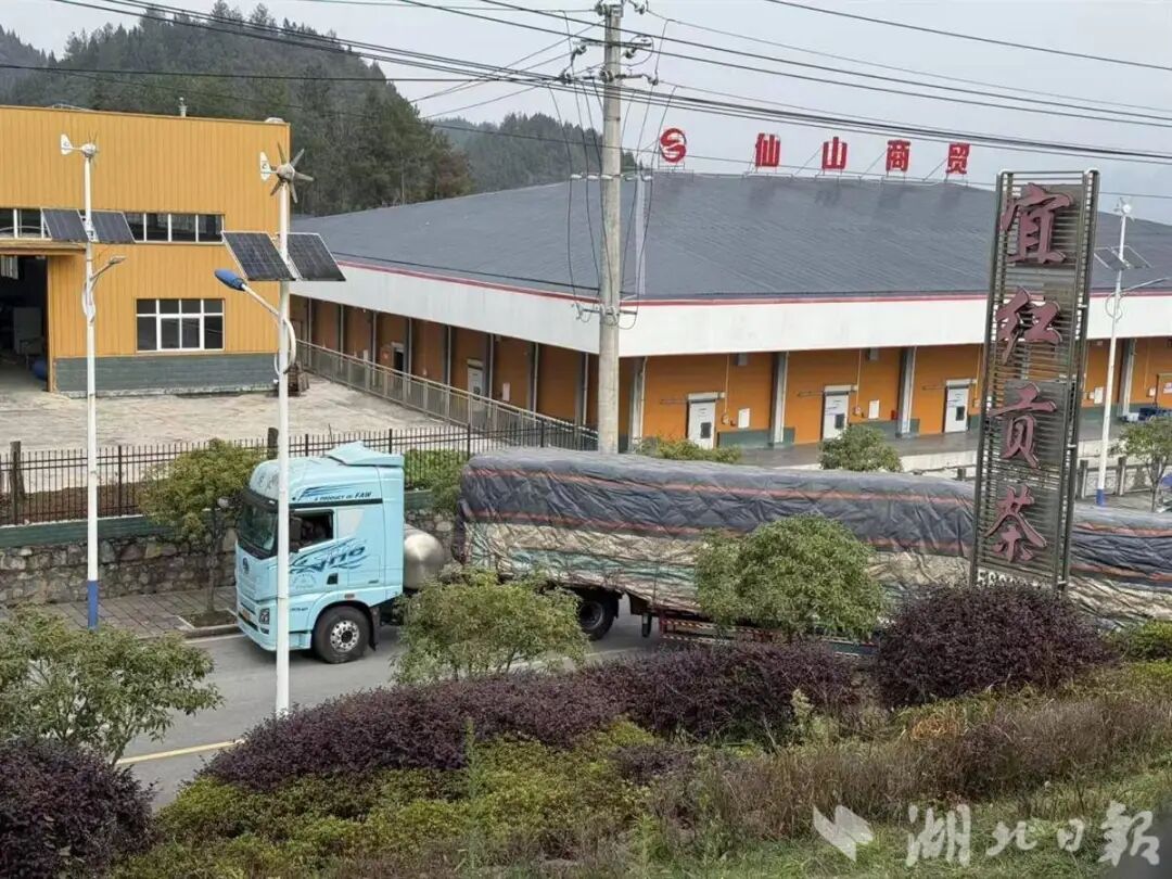 微信图片_2026-01-12_170658_383