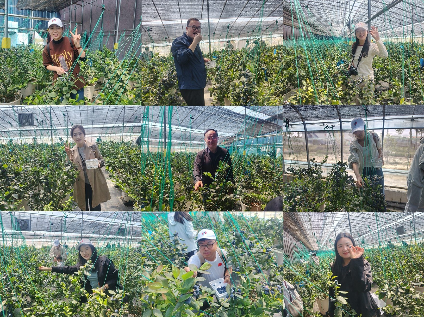 微信图片_20260429104528_1427_40(1)