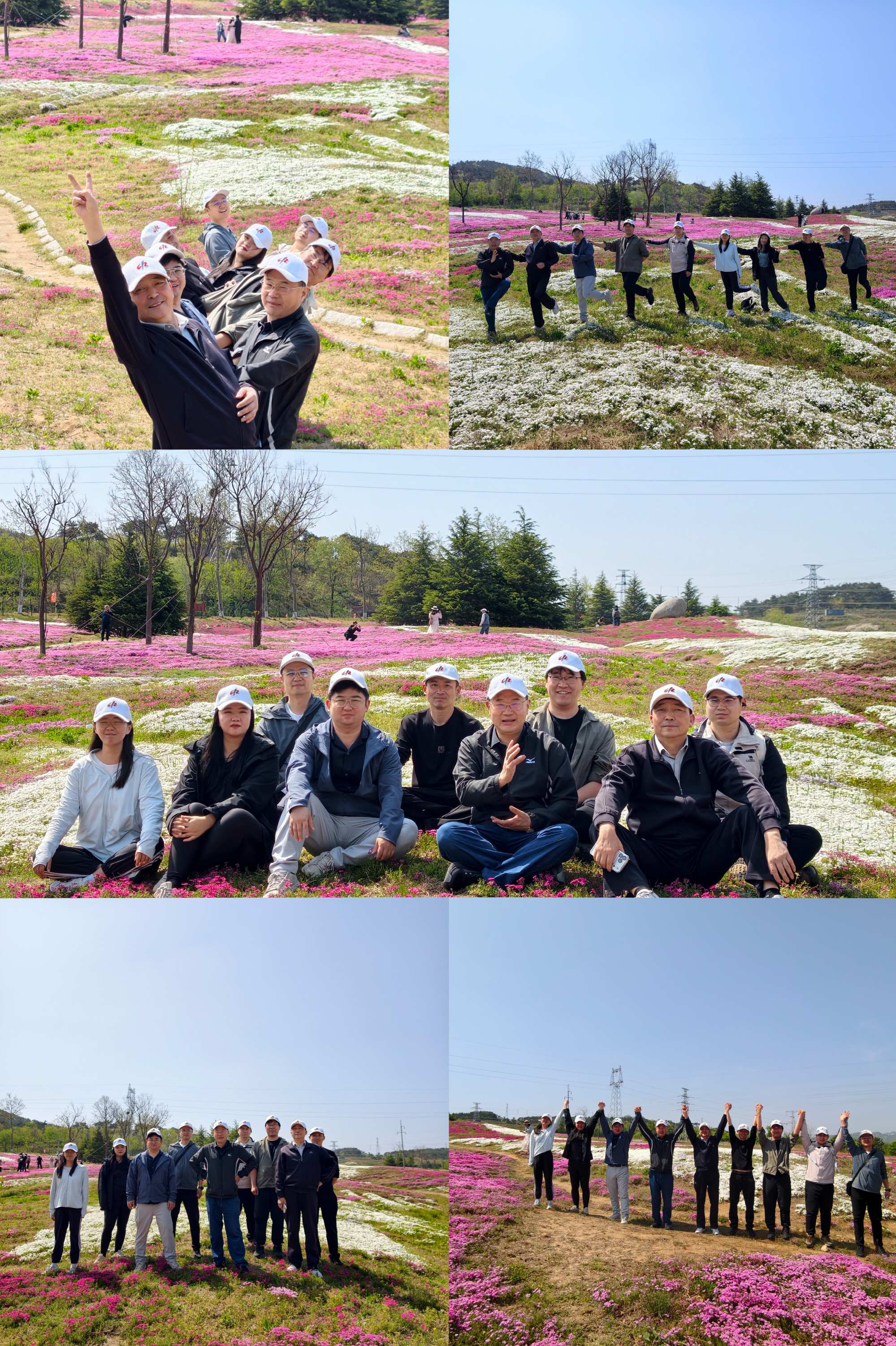 微信图片_20260429104555_1429_40(1)