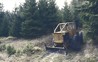 森林预警解决方案(1)
