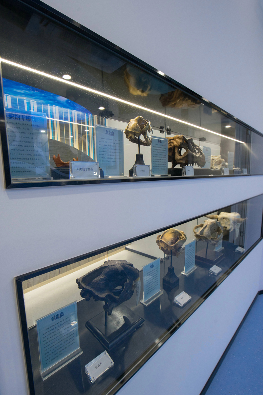 科普馆科普讲堂 (1)