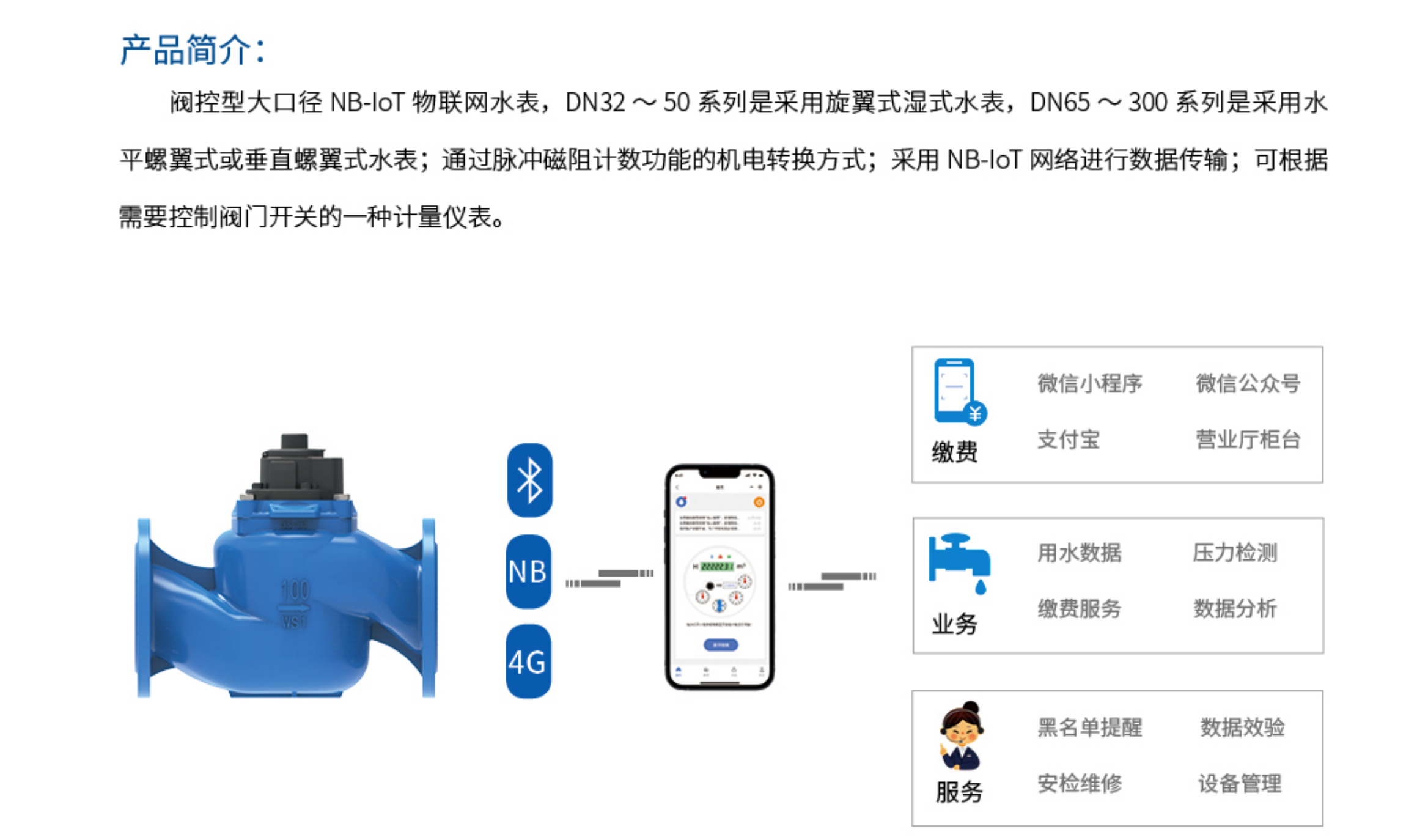 4阀控型大口径 NB-loT 物联网水表