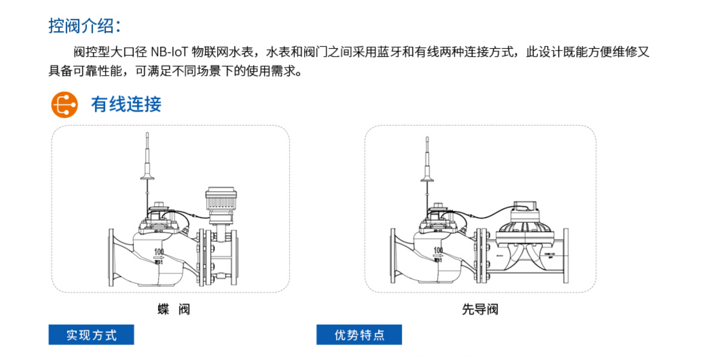 6阀控型大口径 NB-loT 物联网水表