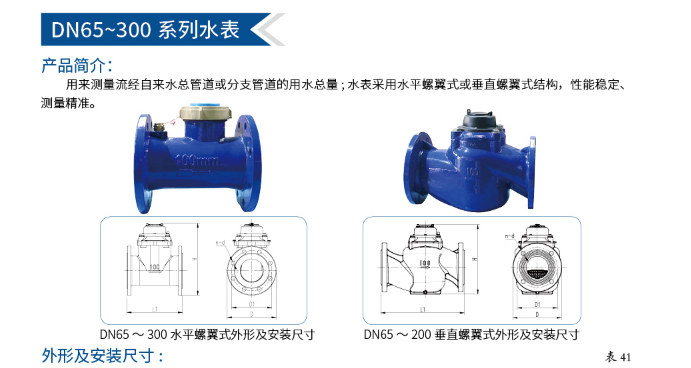 1DN65～300系列水表