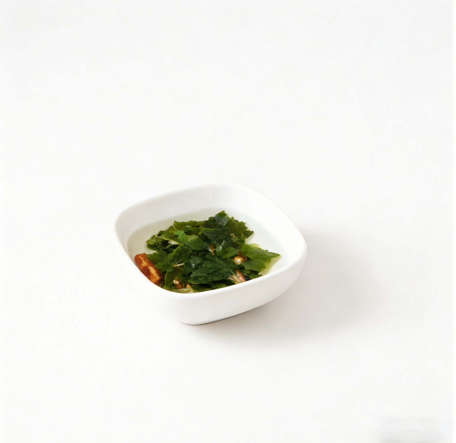 海藻汤