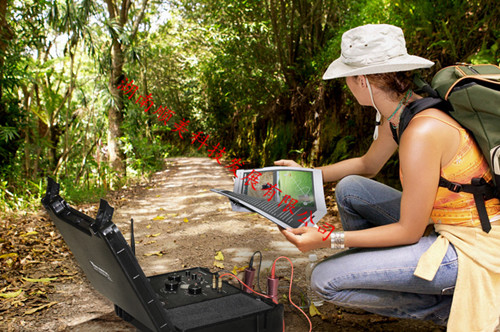 EPX10000远程地下金属探测器15