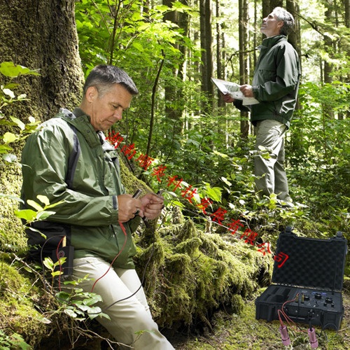 EPX10000远程地下金属探测器14