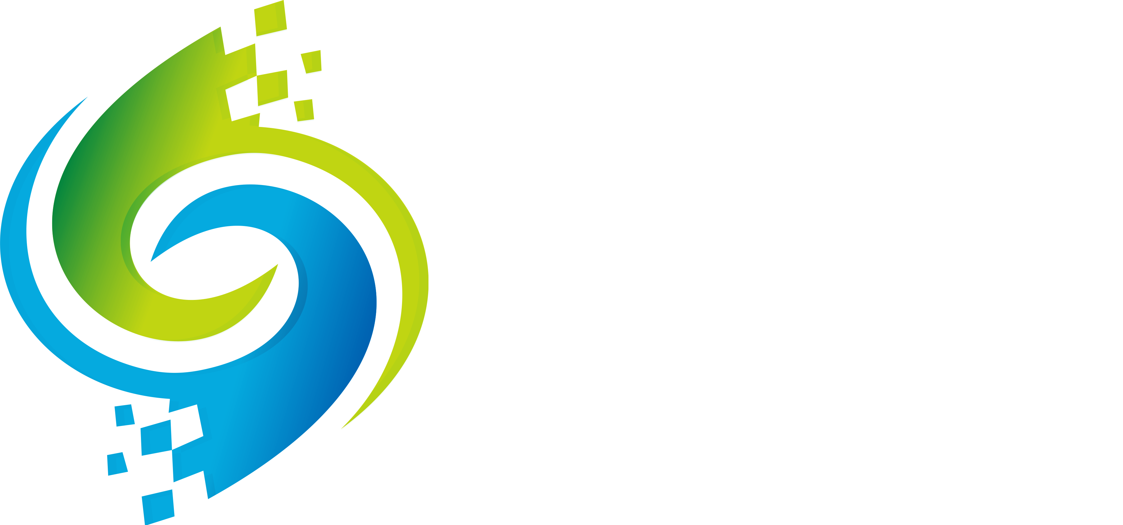 北京智网信测科技有限公司