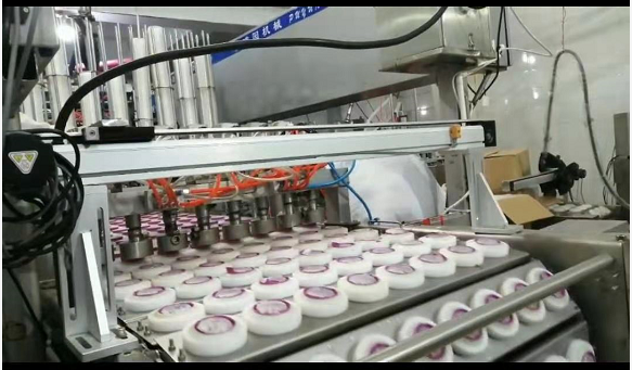 法国依玛士喷码机