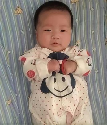 最朴实的语言-2