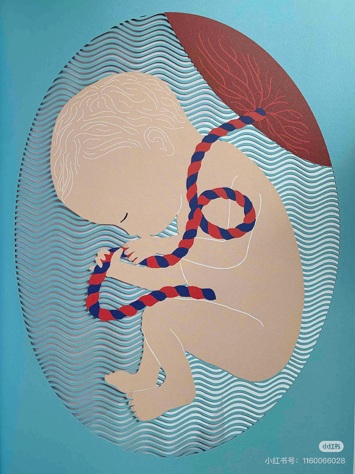 胎教宝宝强在哪儿？