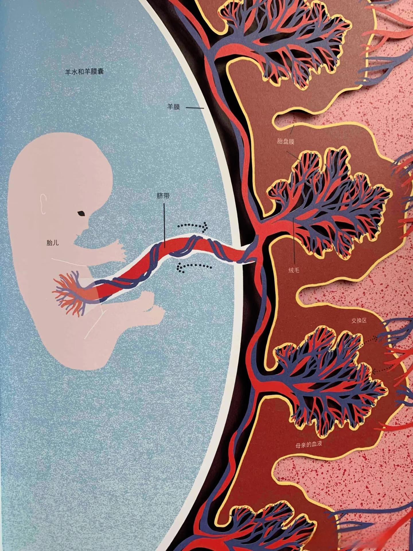 微信图片_20251114111331