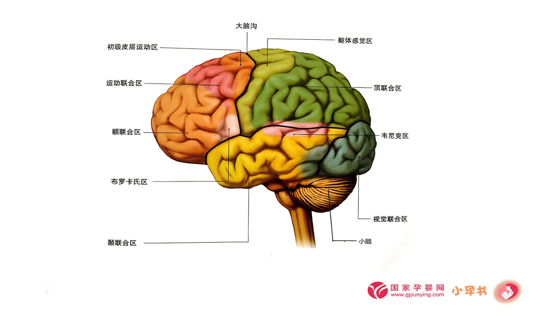 kappframework-pFTsIG(1)(1)
