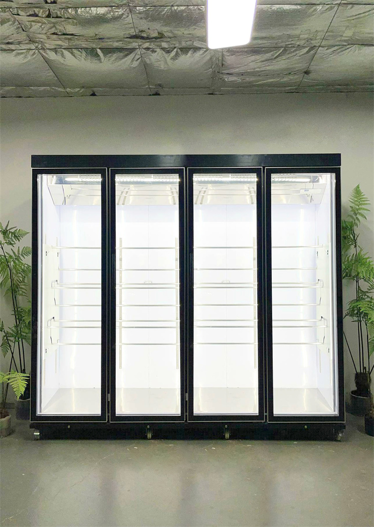 240 Taitan + Pro Leading Model