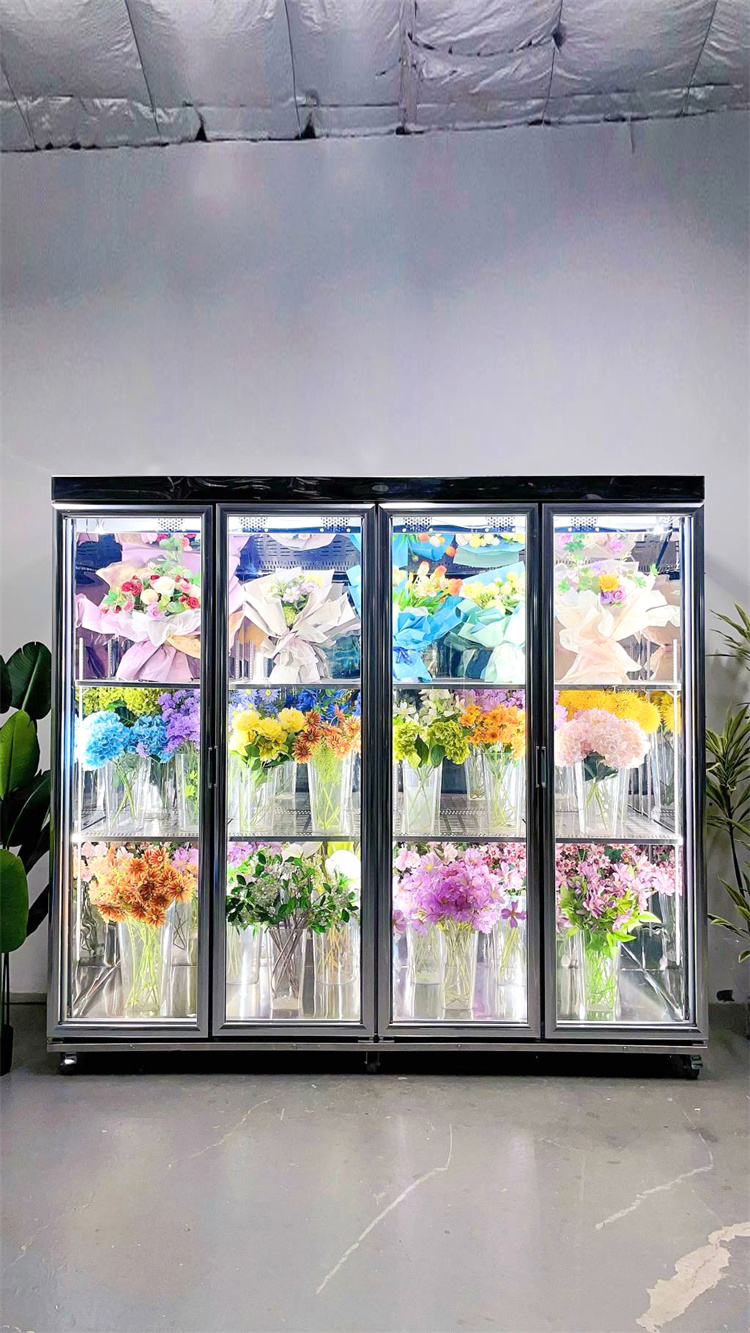 240 Taitan Pro Luxury Model