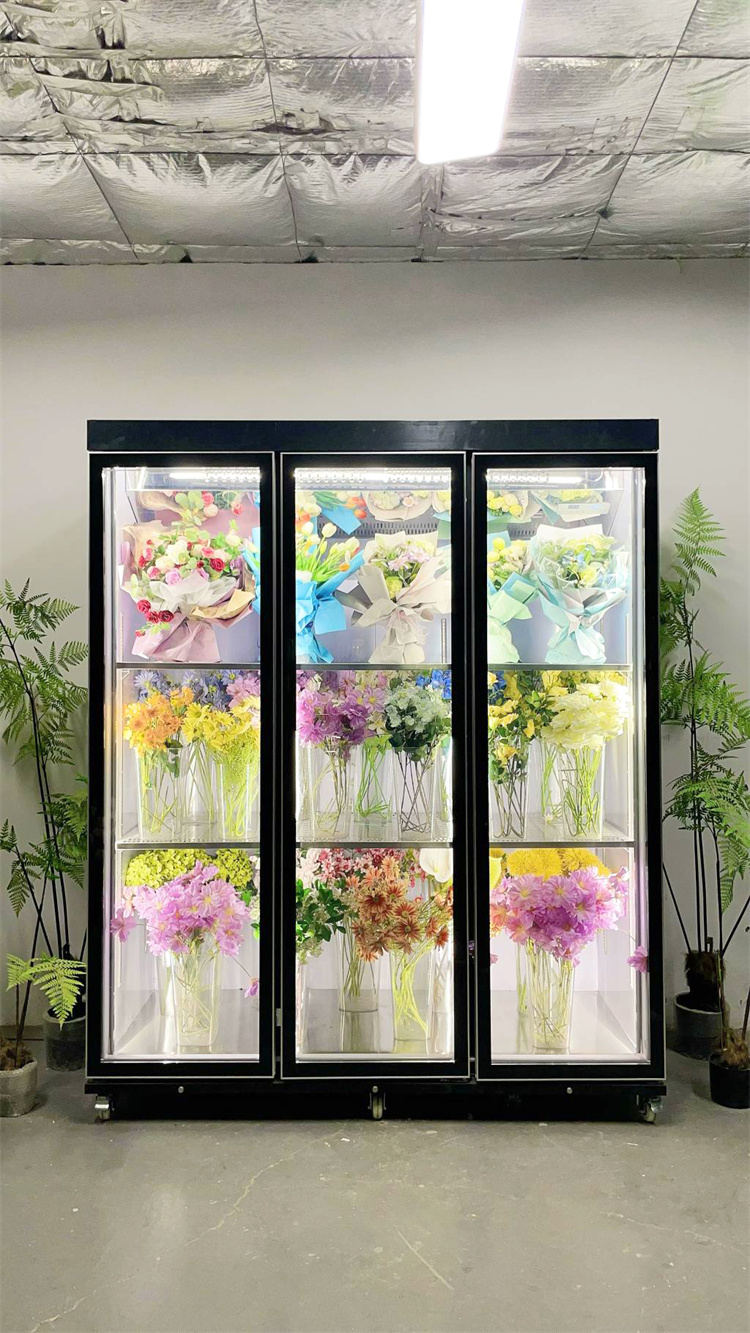 180 Taitan + Pro Leading Model