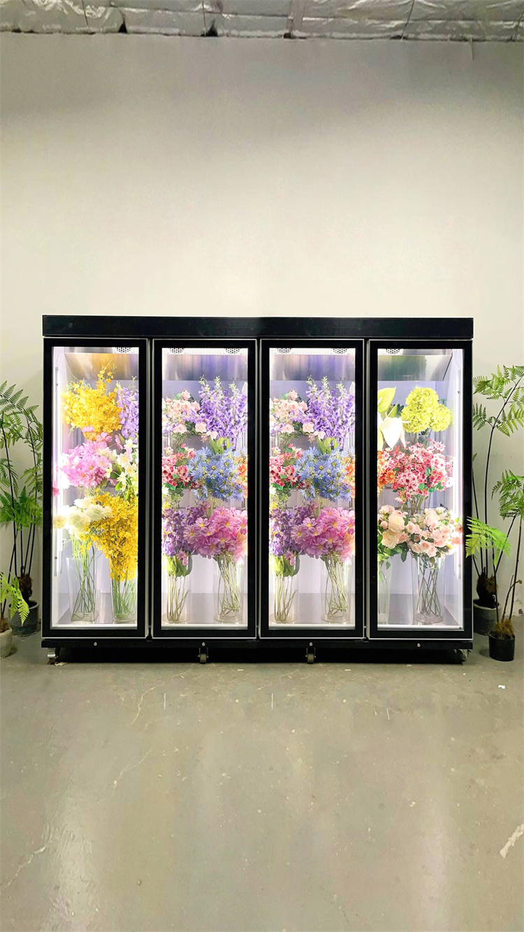 240 Taitan + Pro Leading Model