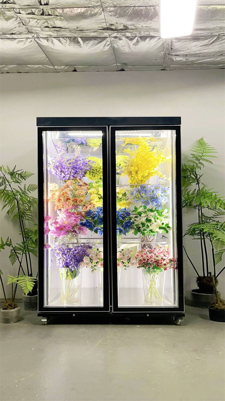 150 Taitan + Pro Leading Model