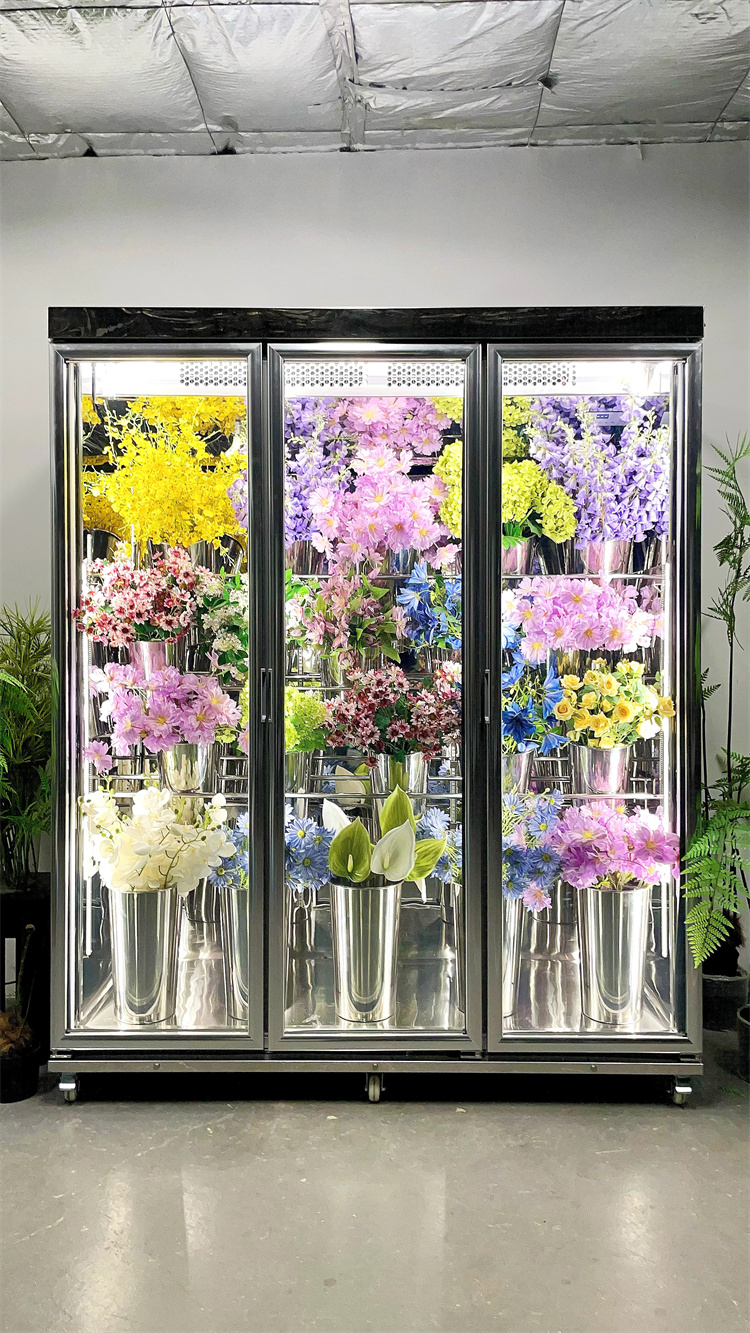 180 Taitan + Pro Luxury Model