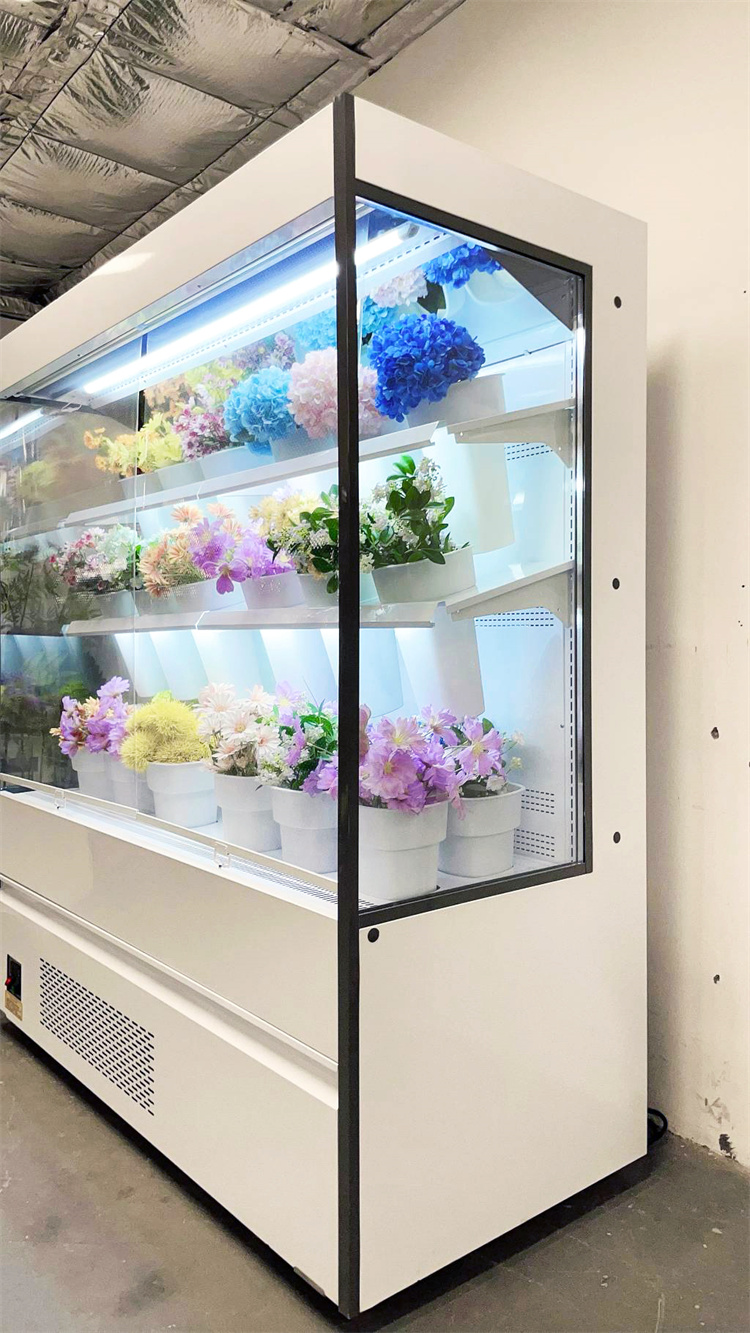 178 FLOWER AIR CURTAIN CABINET