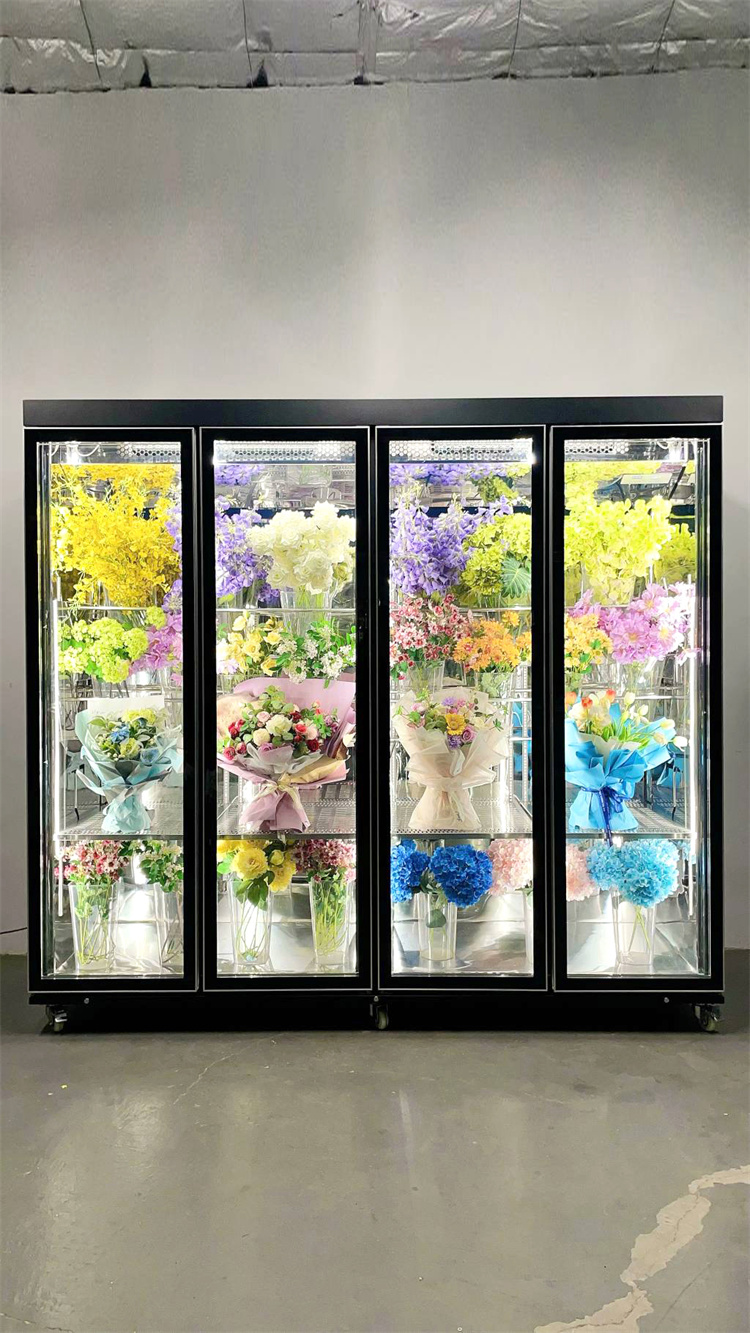 240 Taitan + Pro All-Round Model