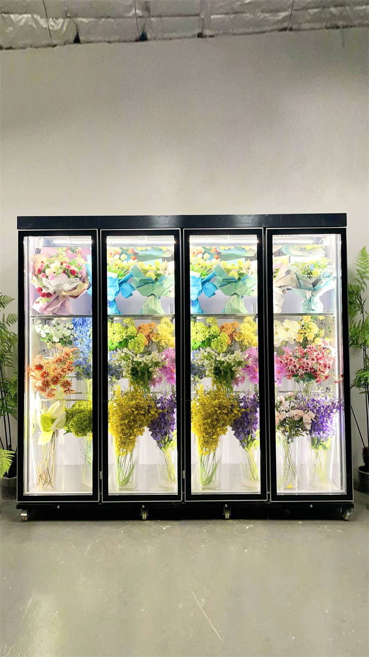 240 Taitan + Pro Leading Model