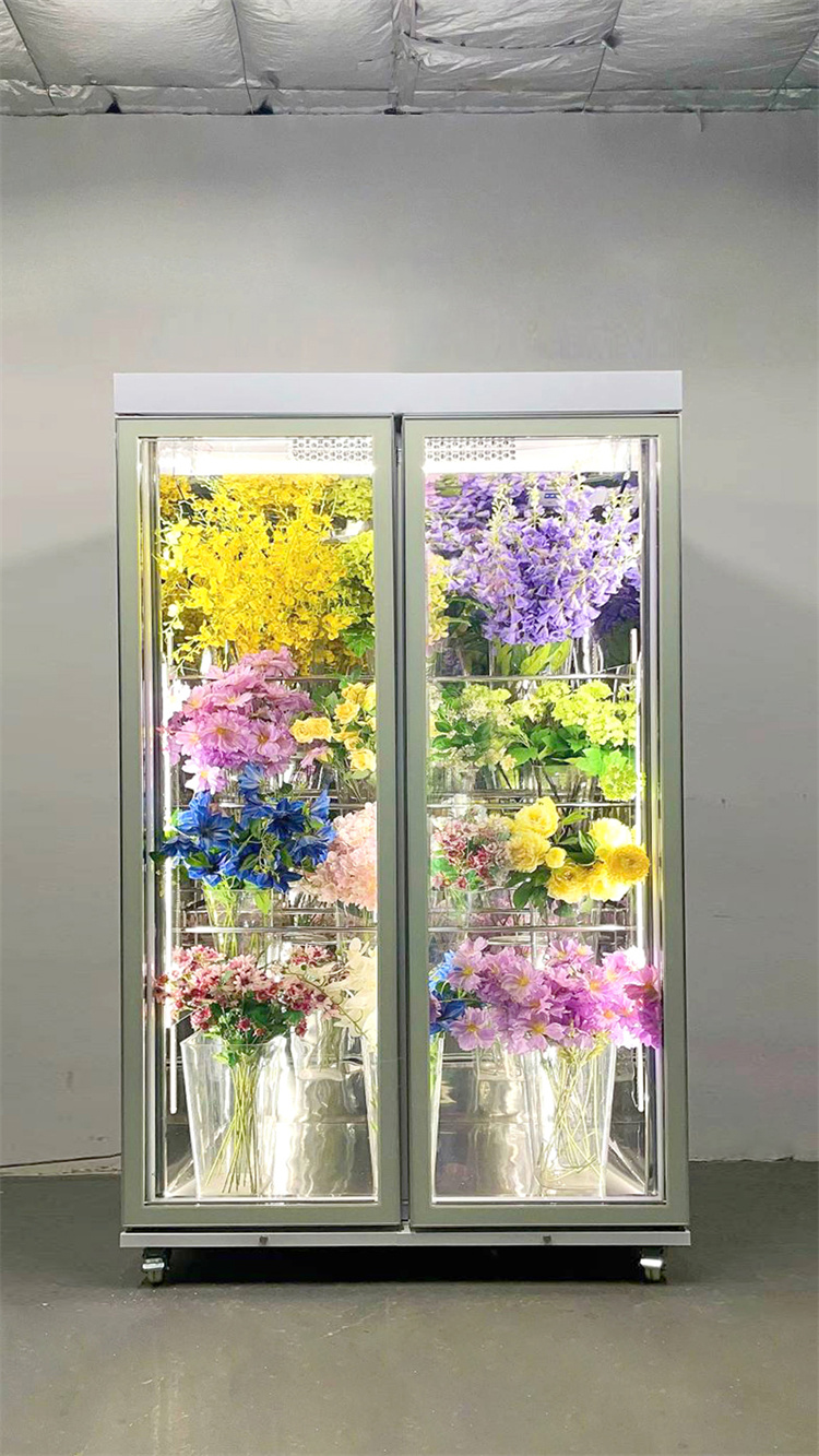 120 Taitan pro All-Round Model