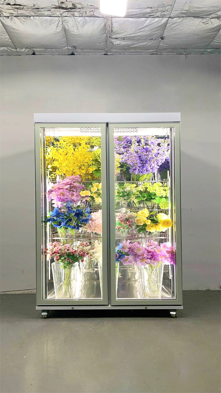 150 Taitan + Pro All-Round Model