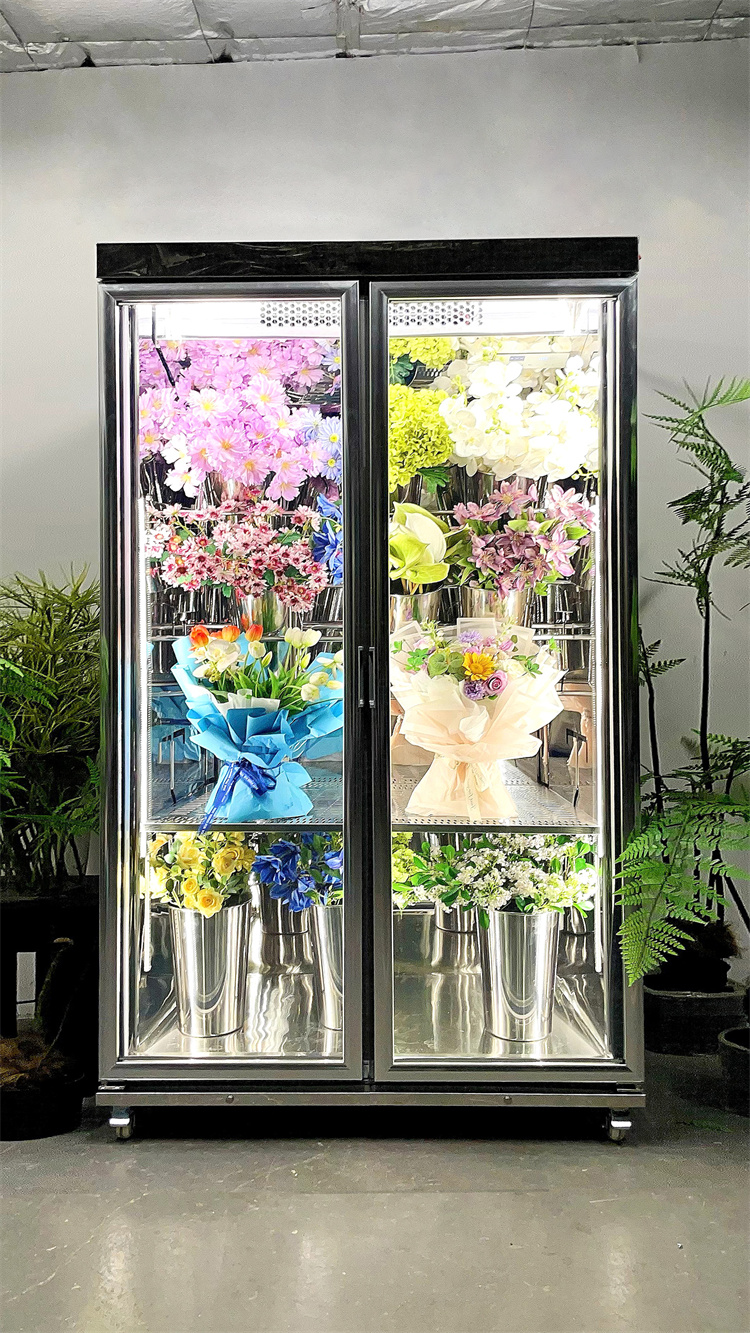 120 Taitan pro Luxury Model