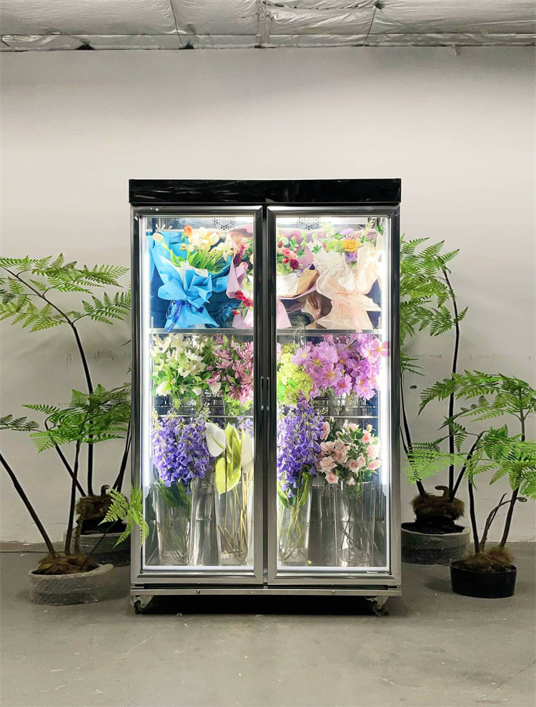 120 Taitan pro Luxury Model