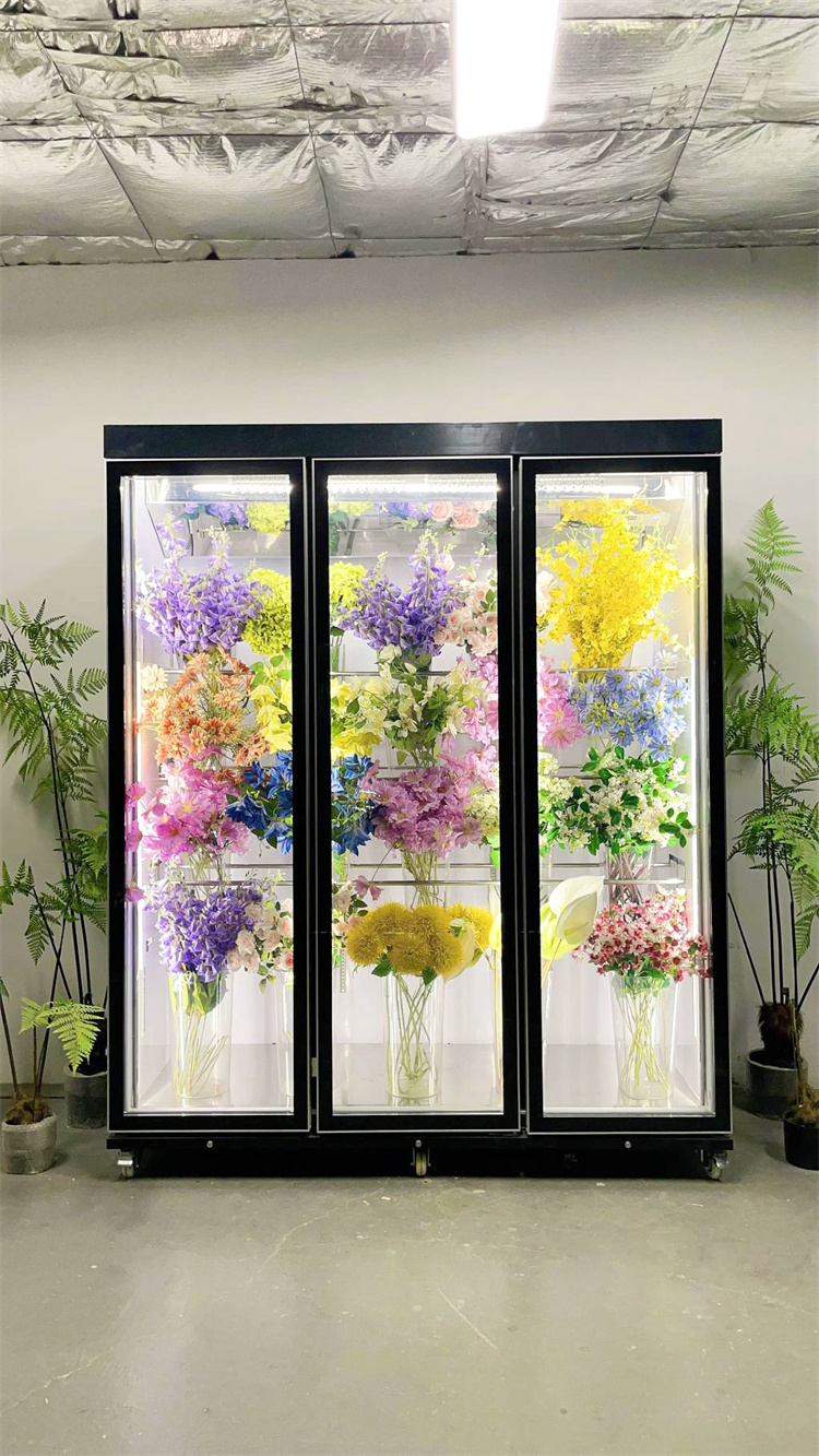 180 Taitan + Pro Leading Model