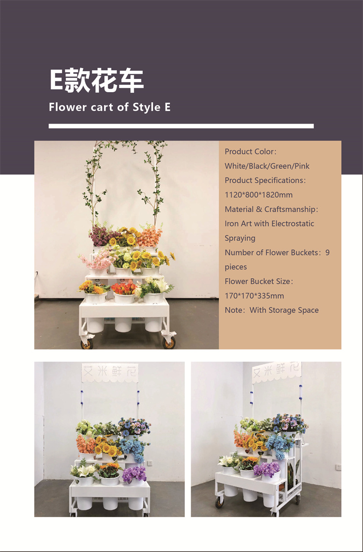 E-type float (Introduction)_副本