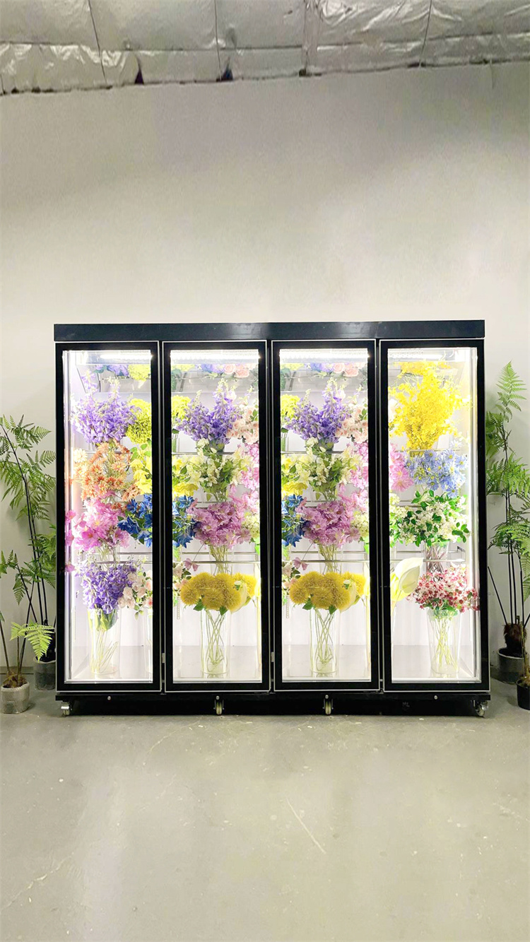 240 Taitan + Pro Leading Model