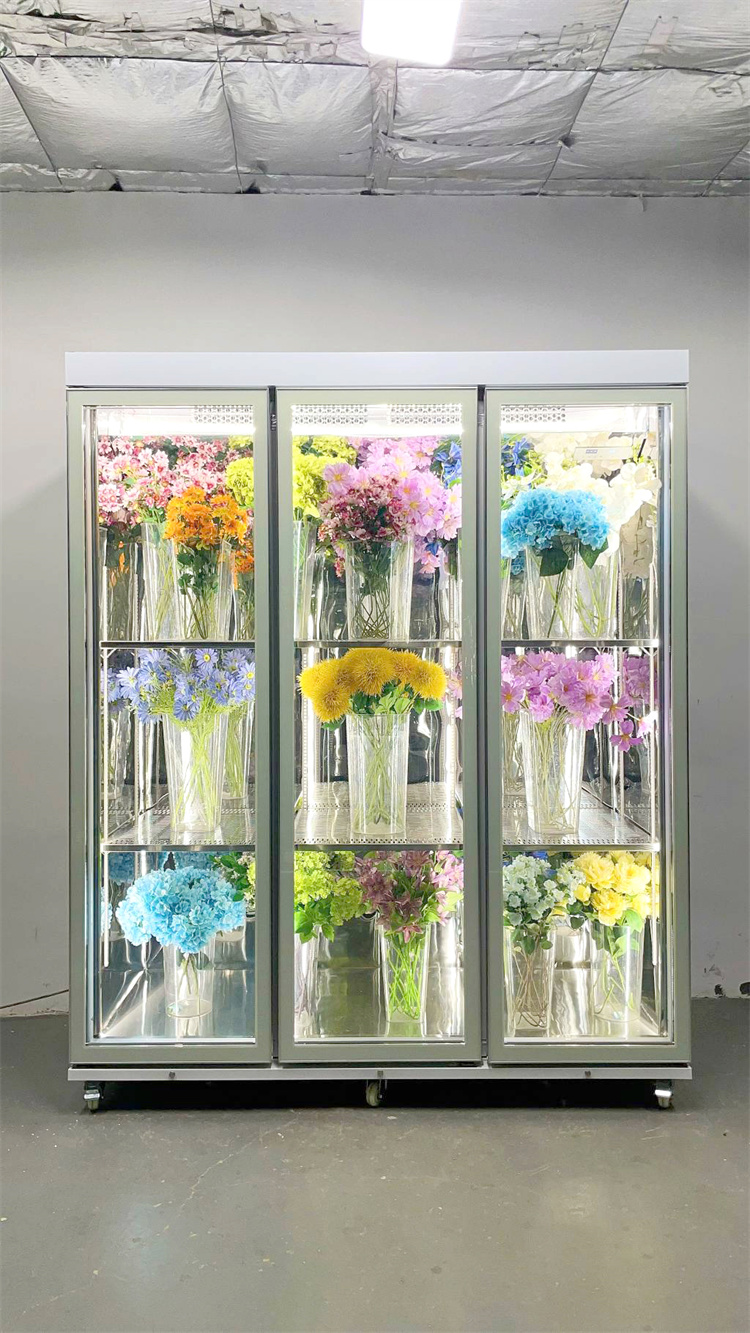 180 Taitan + Pro All-Round Model