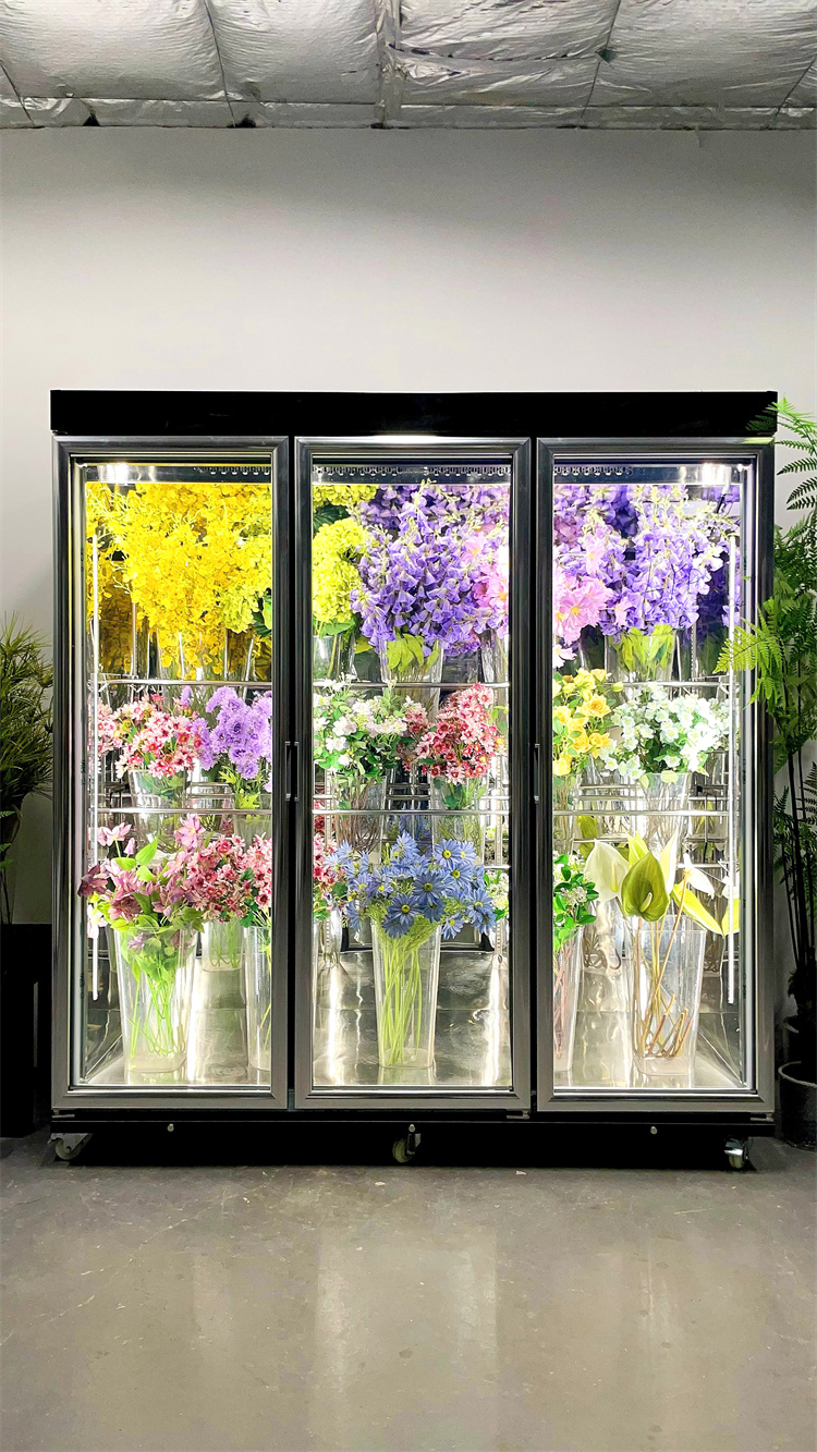 180 Taitan + Pro Luxury Model