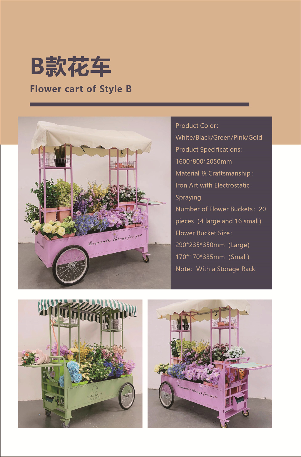 B-type float (Introduction)_副本