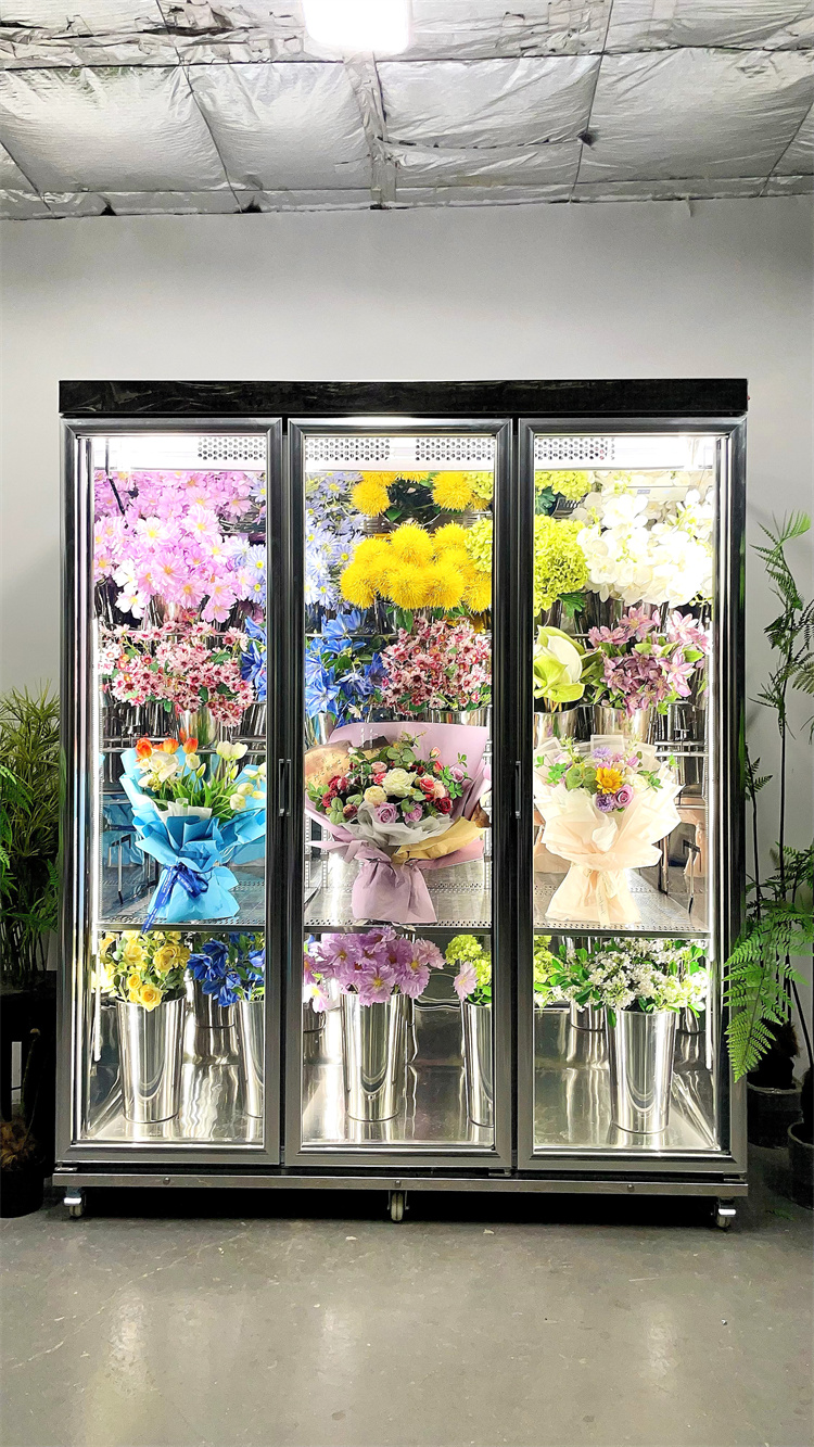 180 Taitan + Pro Luxury Model