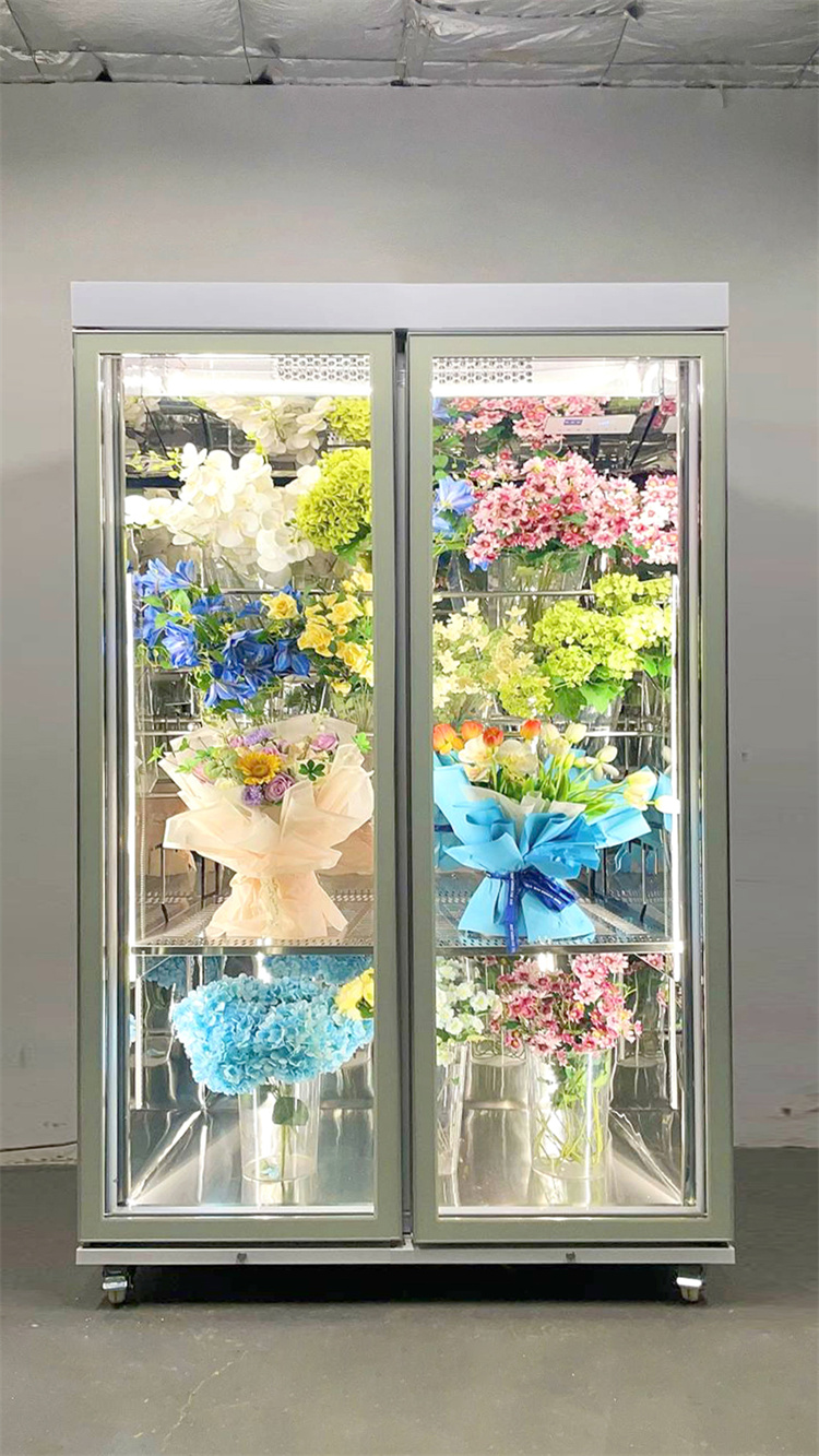 120 Taitan pro All-Round Model