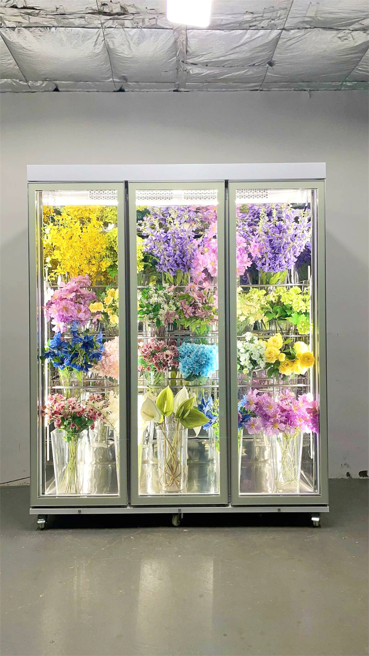 180 Taitan + Pro All-Round Model