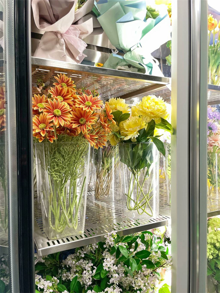 240 Multi-functional fresh flower cabinet