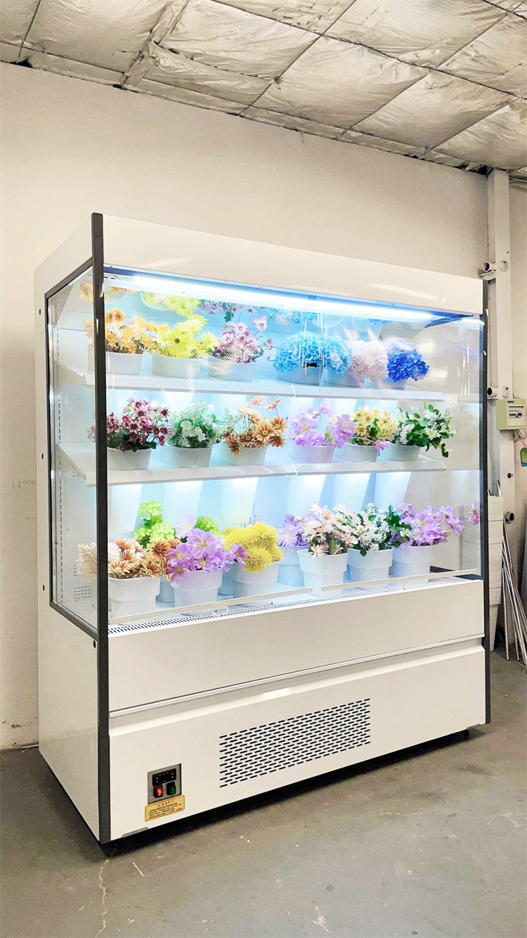 178 FLOWER AIR CURTAIN CABINET