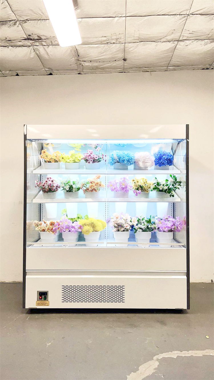 178 FLOWER AIR CURTAIN CABINET