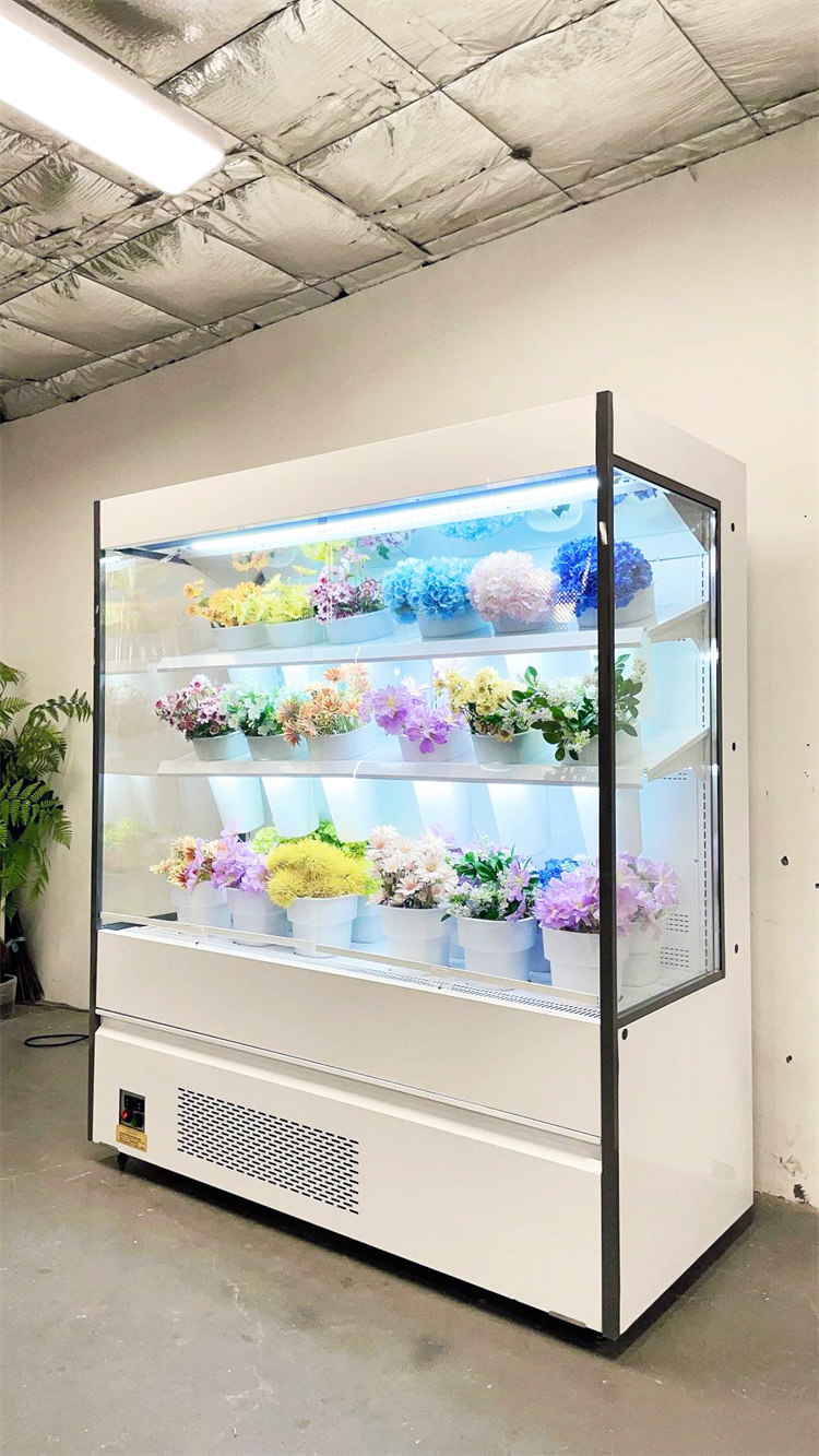 178 FLOWER AIR CURTAIN CABINET