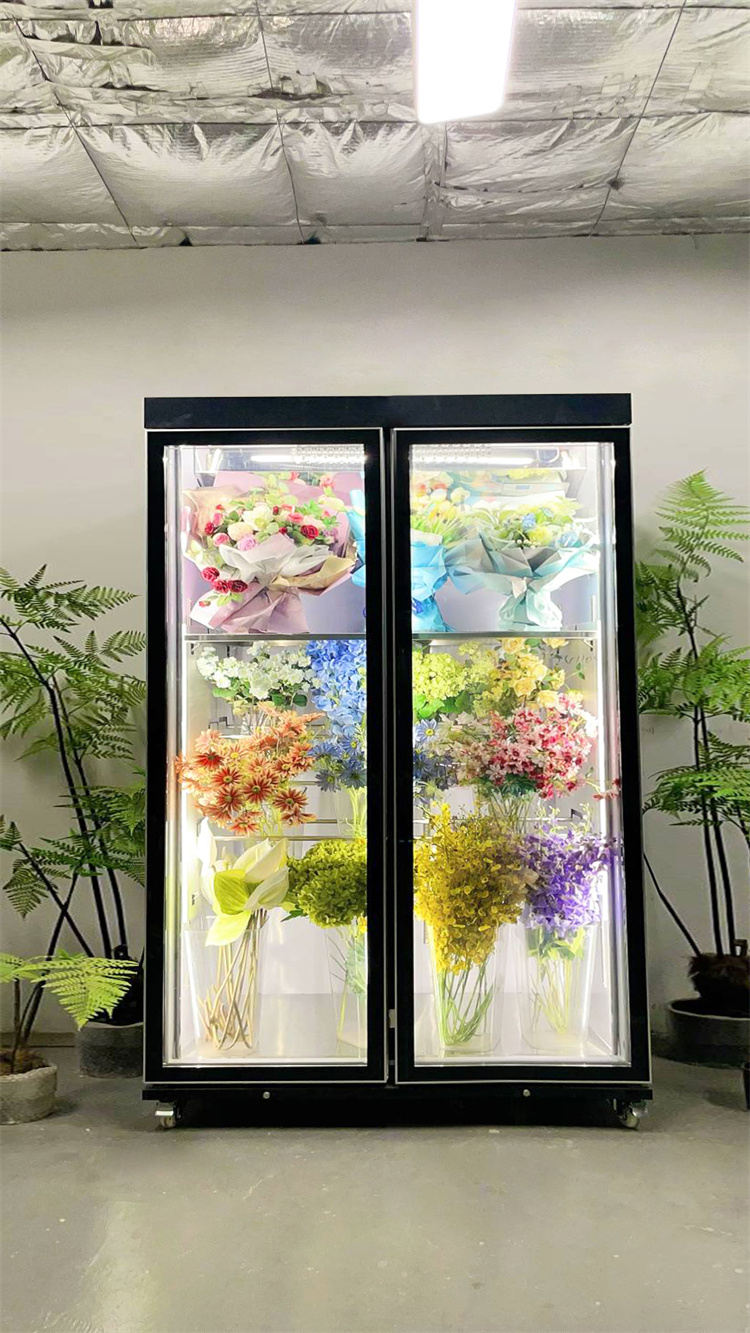 150 Taitan + Pro Leading Model